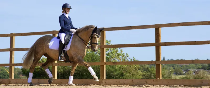 Woof Wear Vision Polo Bandages - White-2